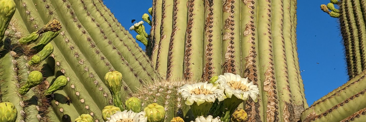 Wherever you go there you are banner