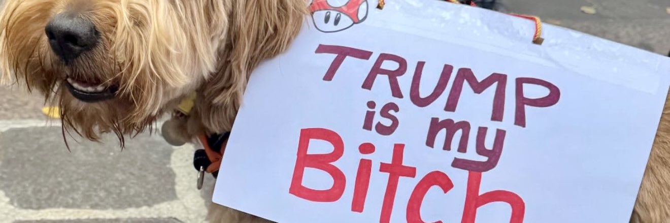 XineEdwards's profile banner image