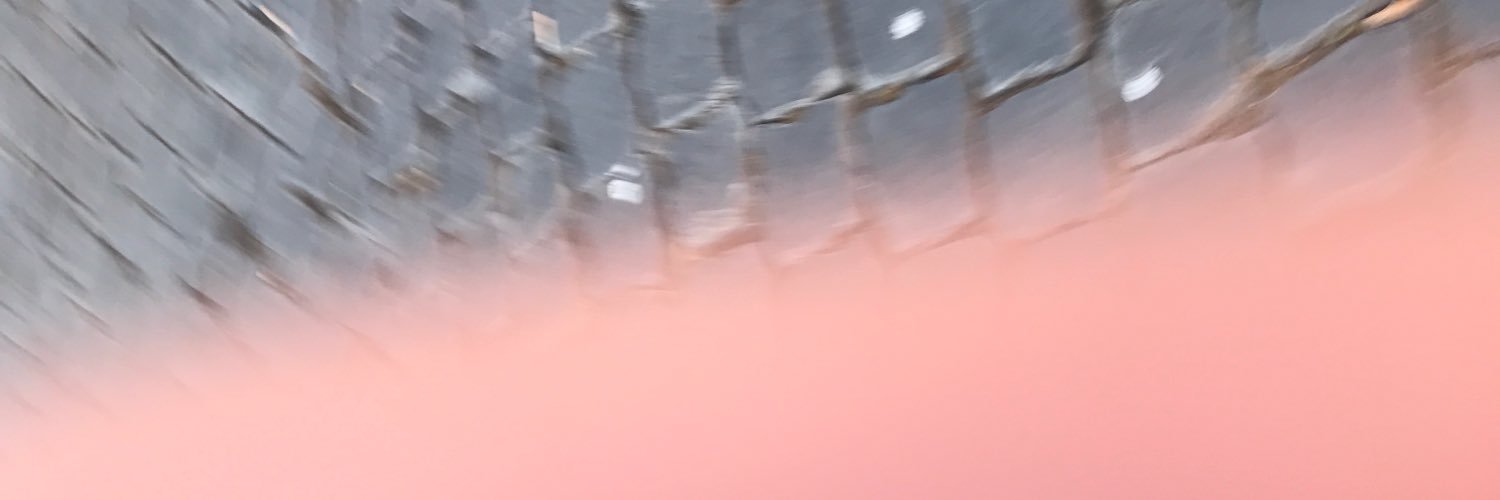 Mallocup's profile banner image