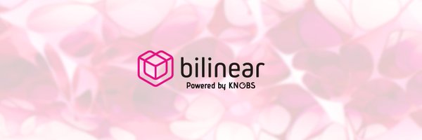 Bilinear | Linea NFT Hub Profile Banner