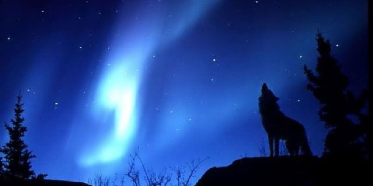 F_k__hk's profile banner image