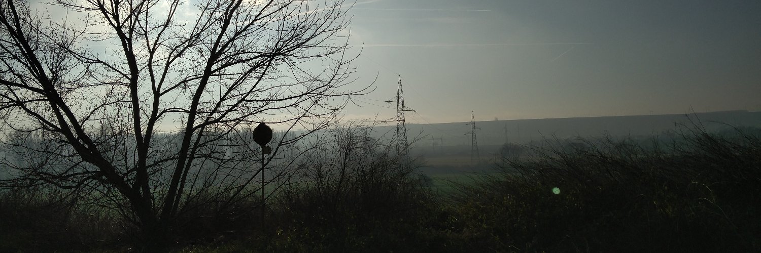 Márton Braun's banner