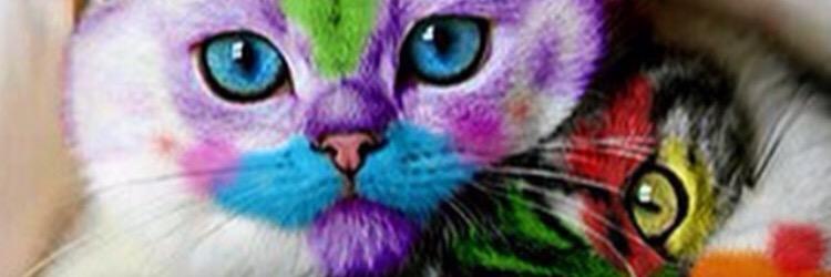 toosieeee_'s profile banner image
