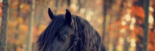atir4523's profile banner image