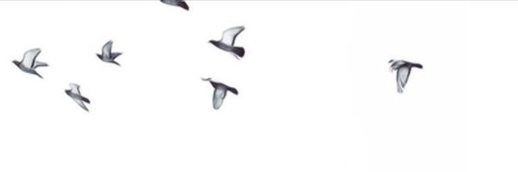 afnans_0's profile banner image