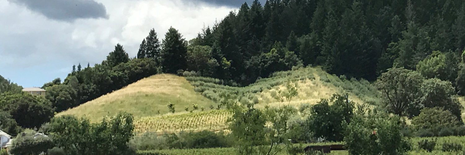 SF#resistance banner