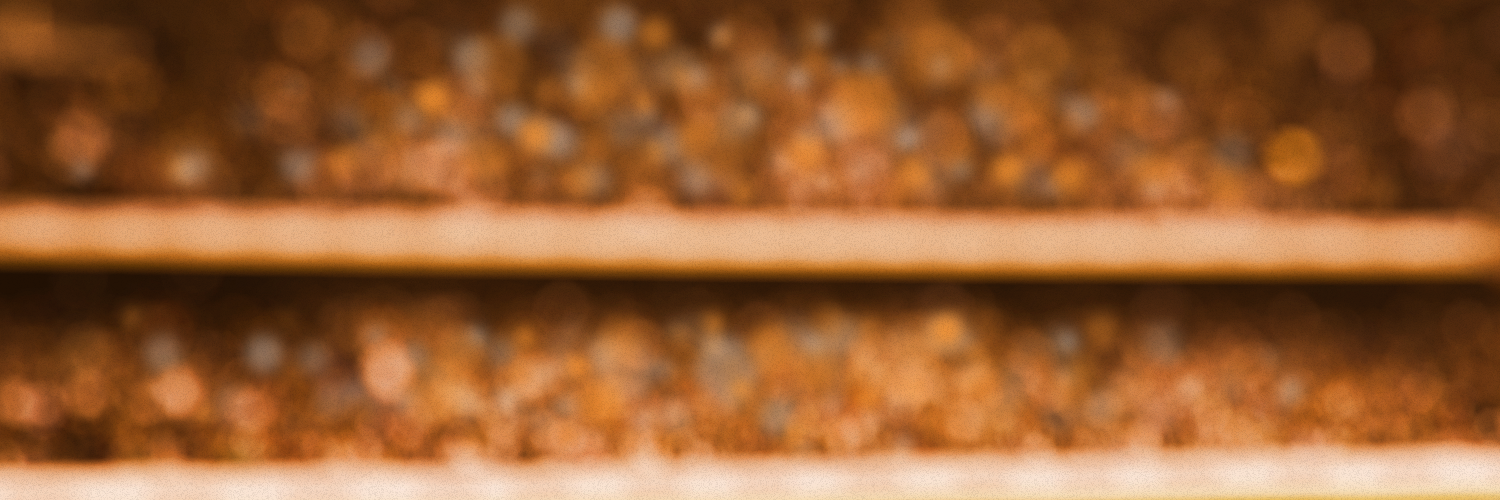 zanivsfly's profile banner image
