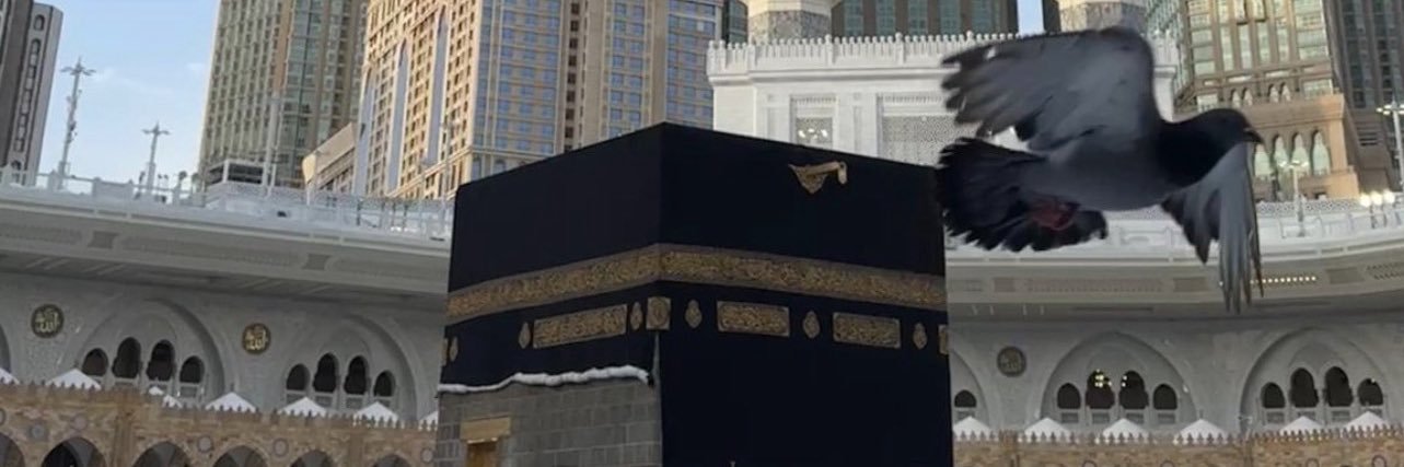 الوائــلي | KSA🇸🇦 banner