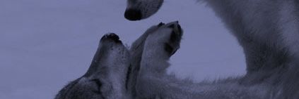 Burson_11's profile banner image
