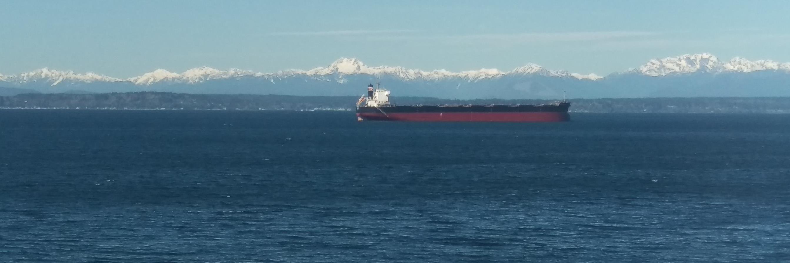 Tim. Just Tim banner