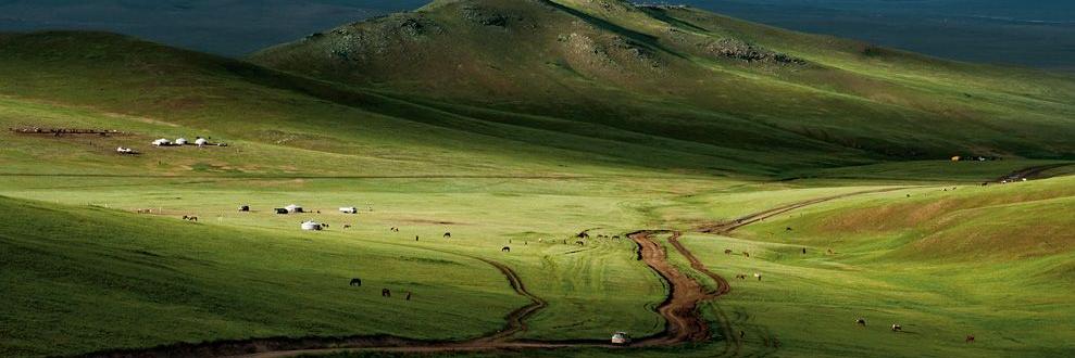 Ардчилалд хайртай иргэн banner