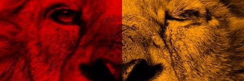 erensevinc's profile banner image