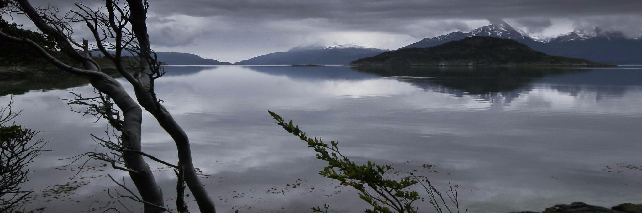 Chris Doyle 👀 banner