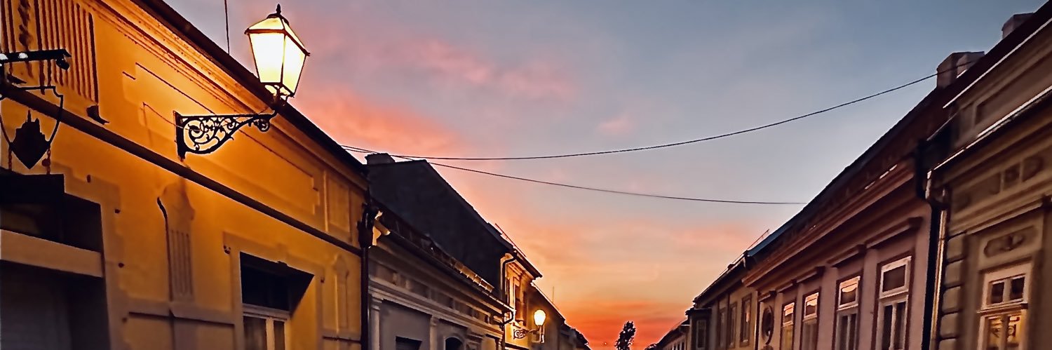 rirapadelari's profile banner image