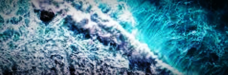 Blue Fin's banner
