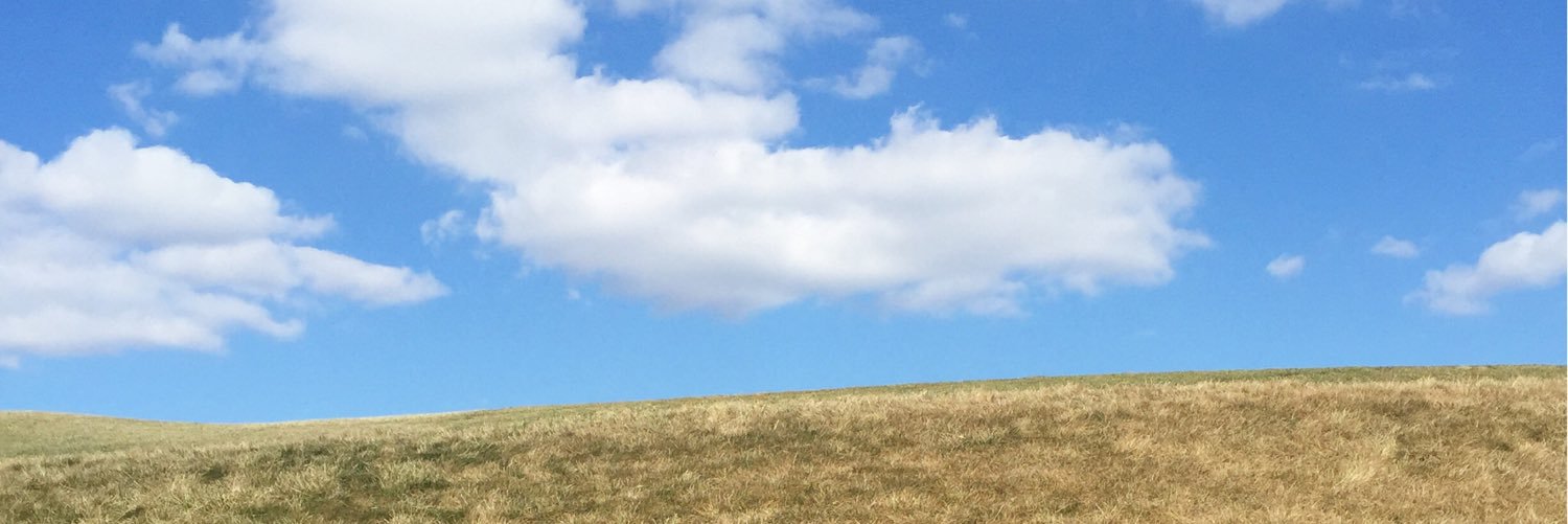 Margaret O'Malley banner