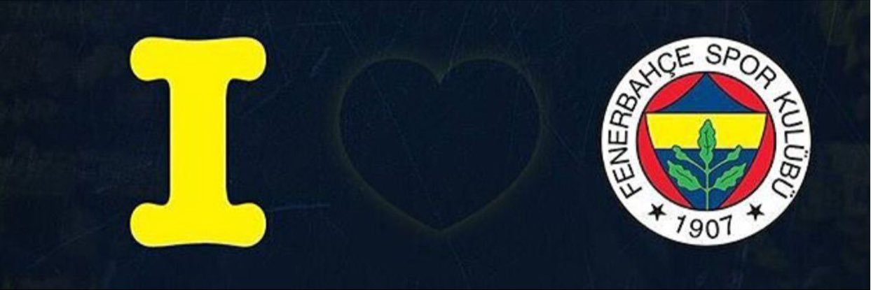 fenerselim's profile banner image