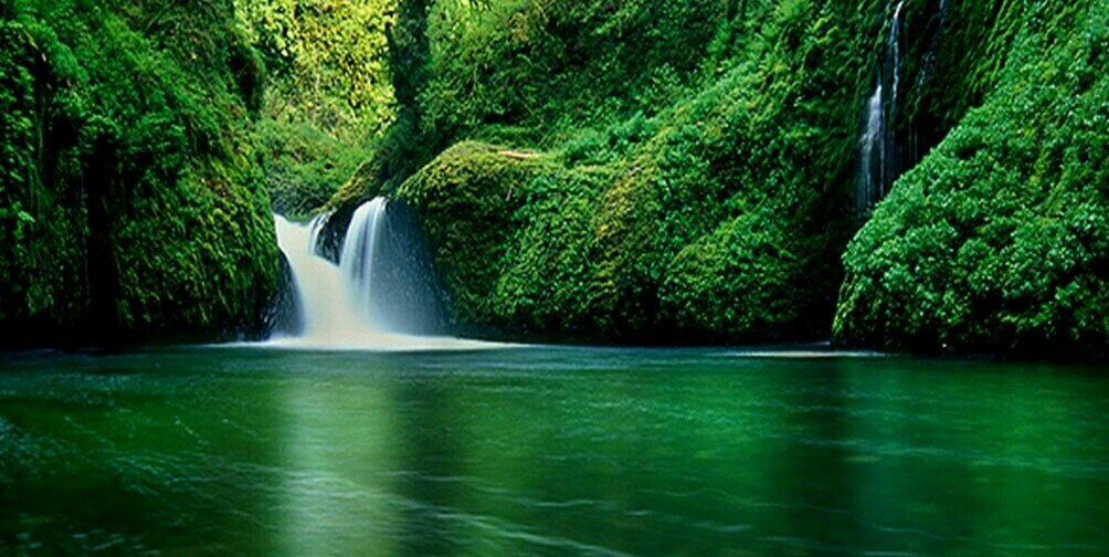 MahaveerPdSoni's profile banner image