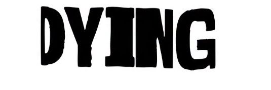 laleeee🇻🇪🇬🇱🇺🇦🇵🇸🏳️‍🌈🏳️‍⚧️🖤🖤 banner