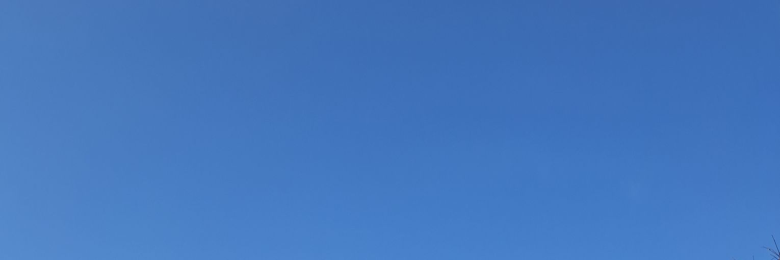 s banner