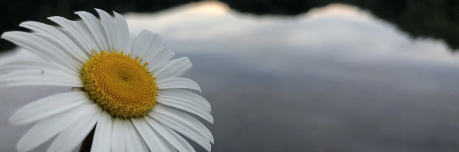 gewill127's profile banner image