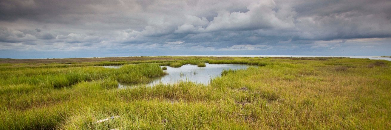 savethebay's profile banner image