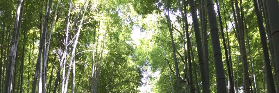 shohey429's profile banner image