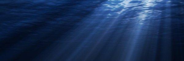 halibut Profile Banner