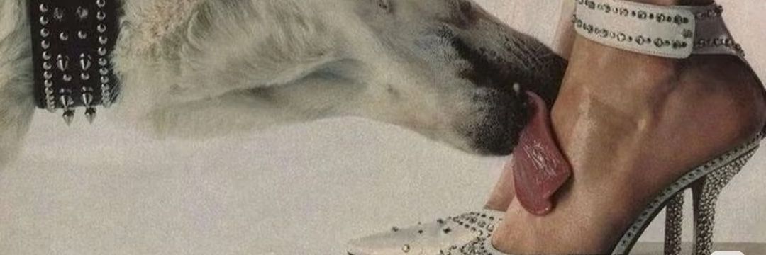 绵阳夫妻77 banner