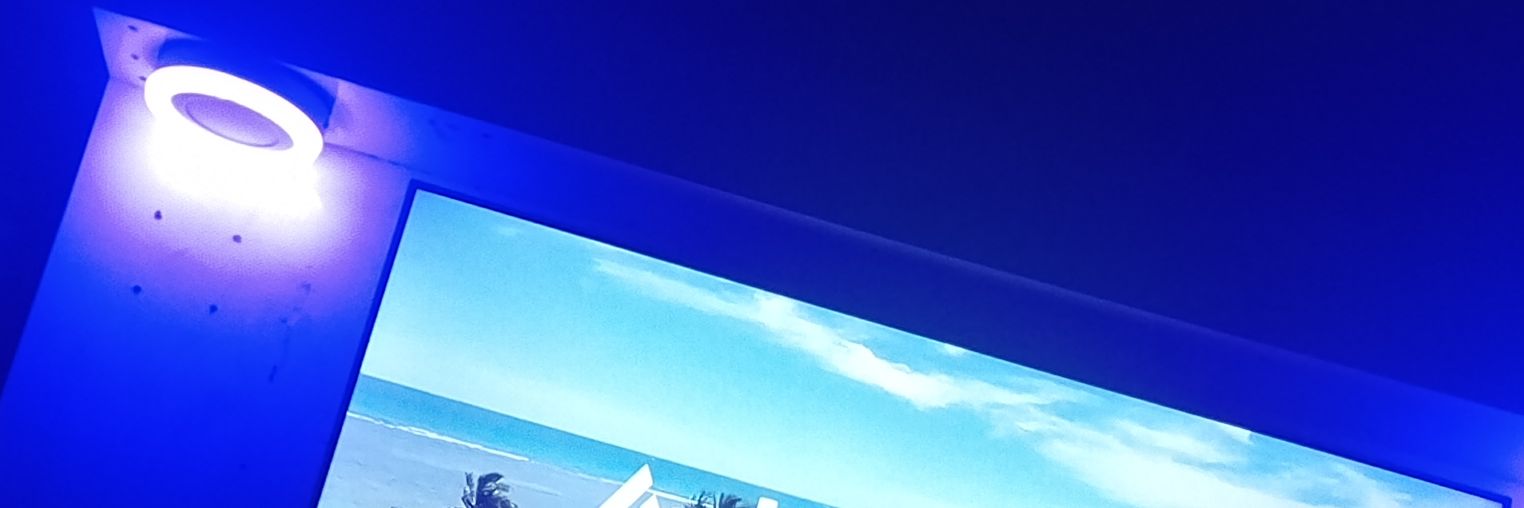 Young Landlord. banner