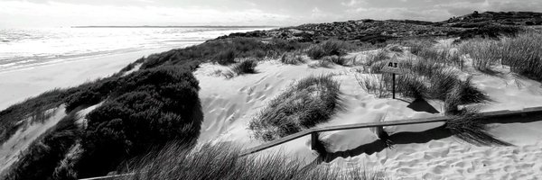 VWC_Writes Profile Banner