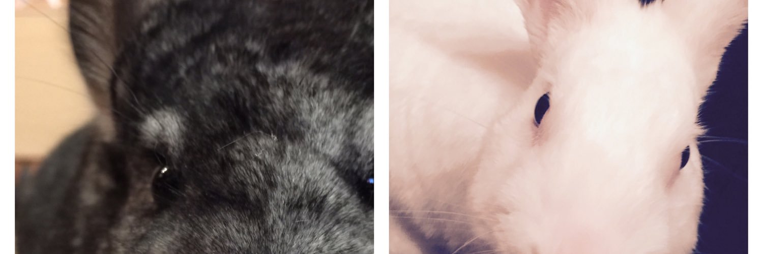 aiunkohakase's profile banner image