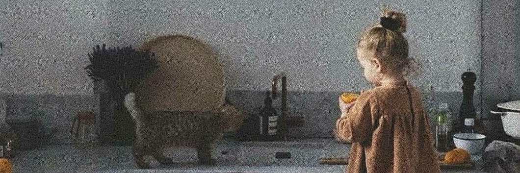 badillimerve's profile banner image