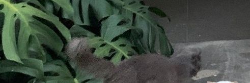 dd3yn's profile banner image