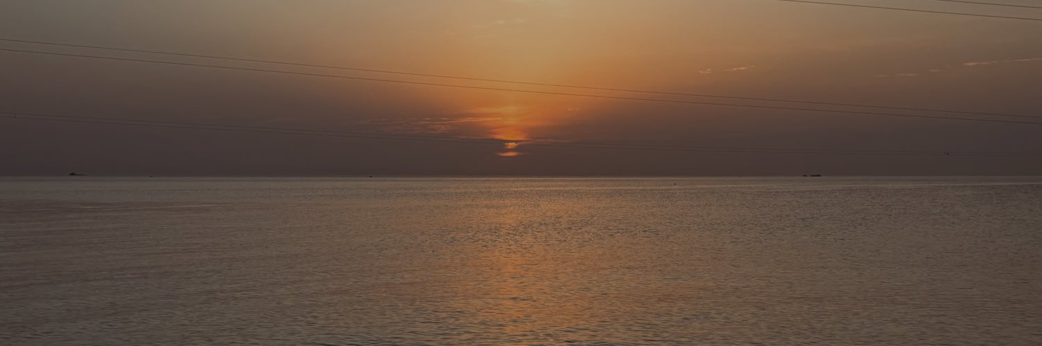 Negar banner