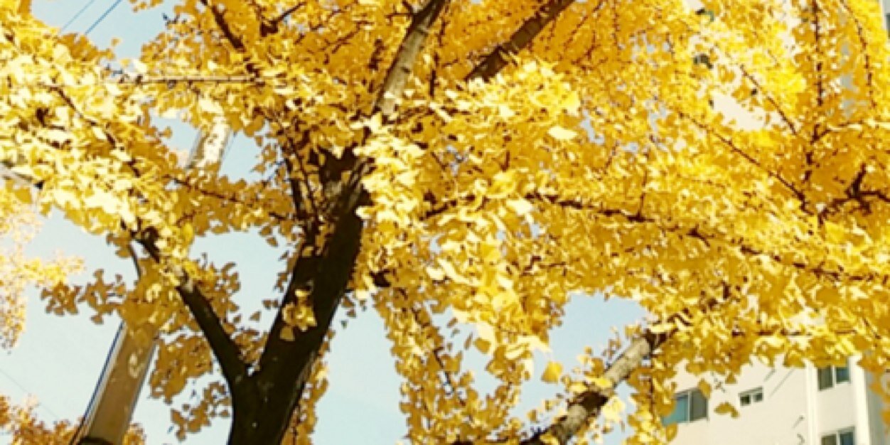 borrowdad_AY's profile banner image