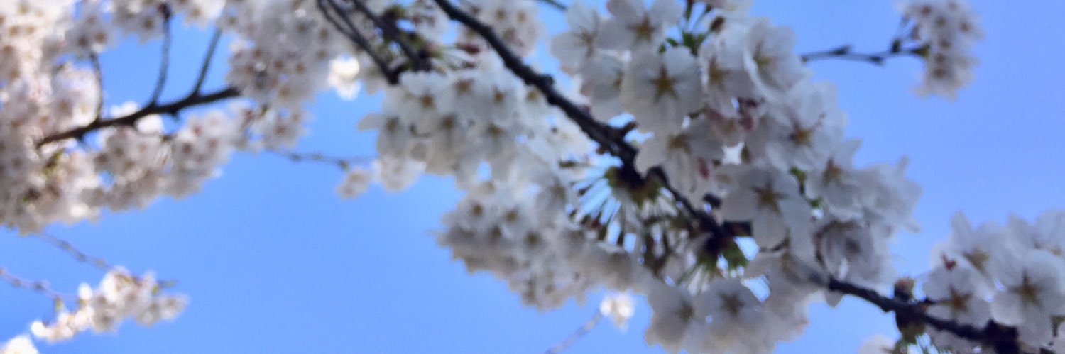 meganedaichami's profile banner image