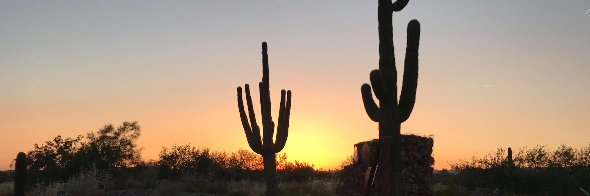 anthonyrigault's profile banner image