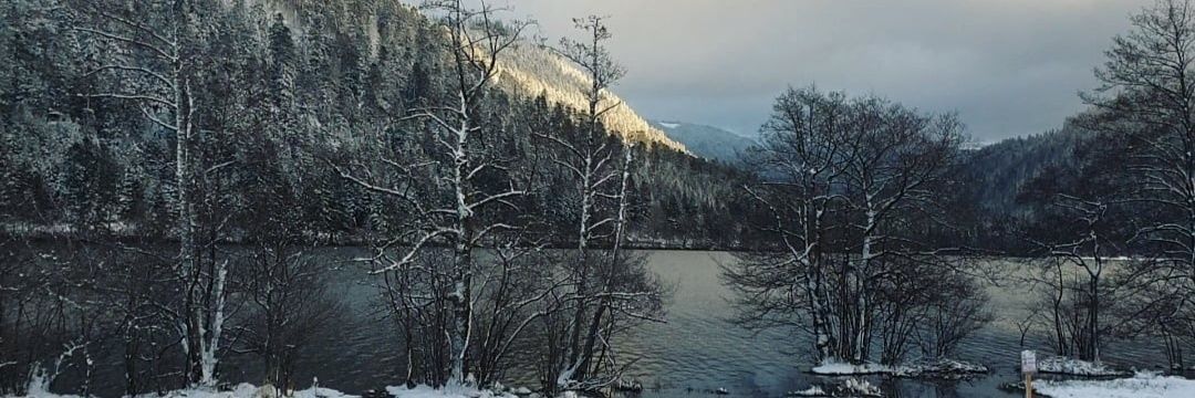 FannyThev's profile banner image