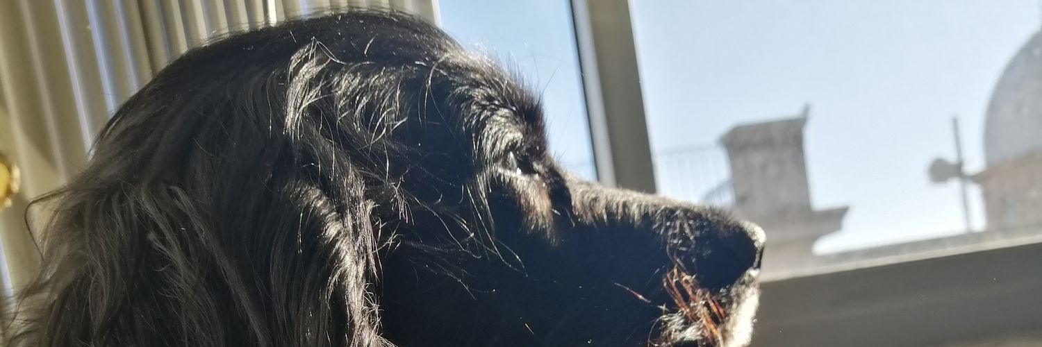 claaruchaa's profile banner image