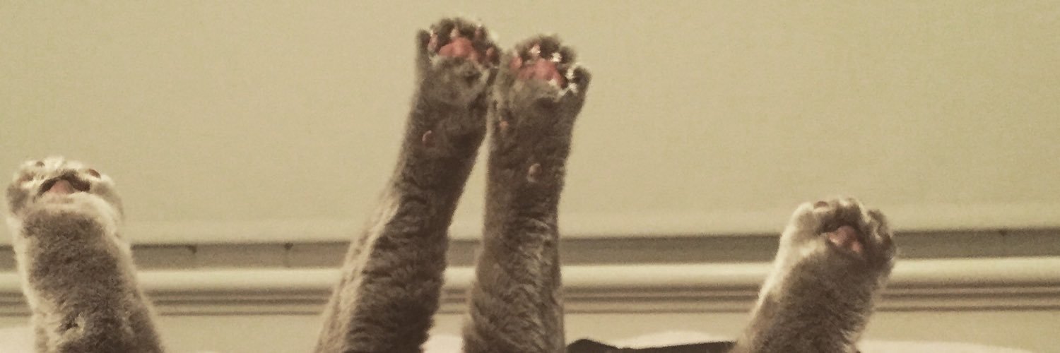 benjaminleece banner