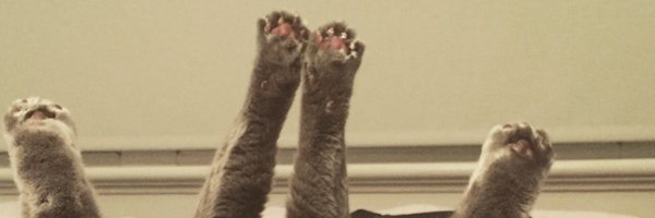 benjaminleece Profile Banner