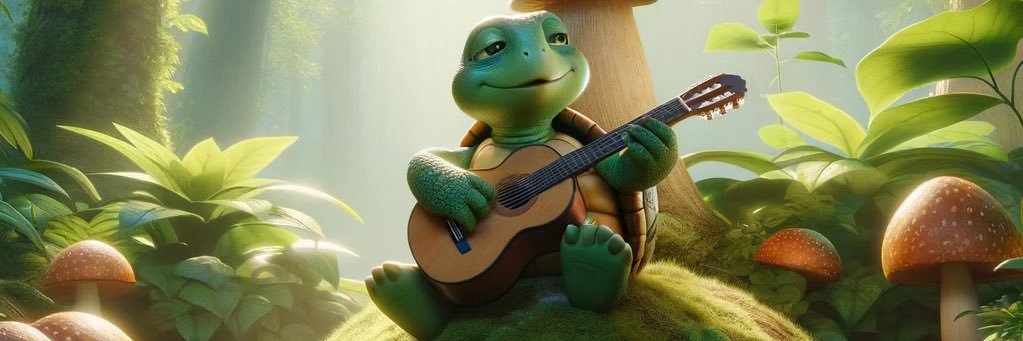 Crypto Turtle banner