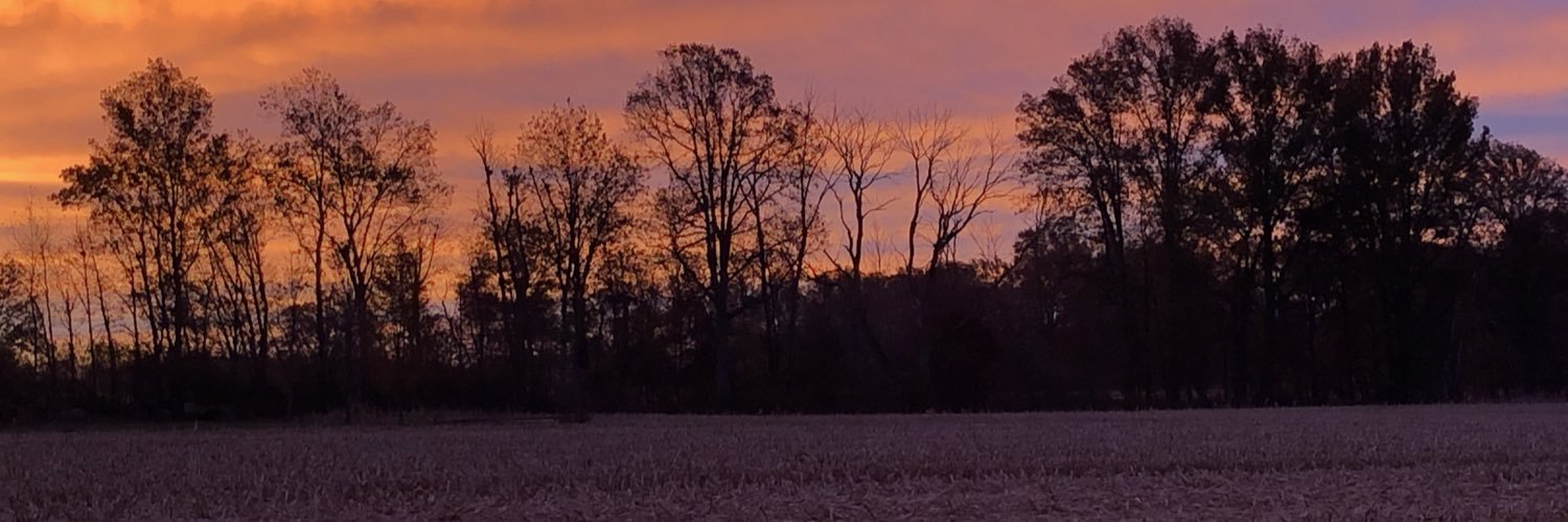Jennifer McCormick banner