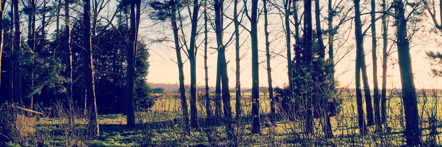 Gemma Piggott banner