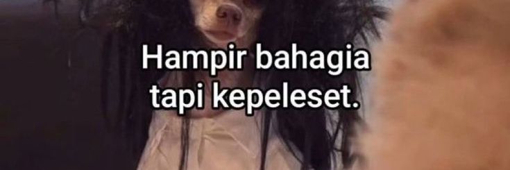zup banner