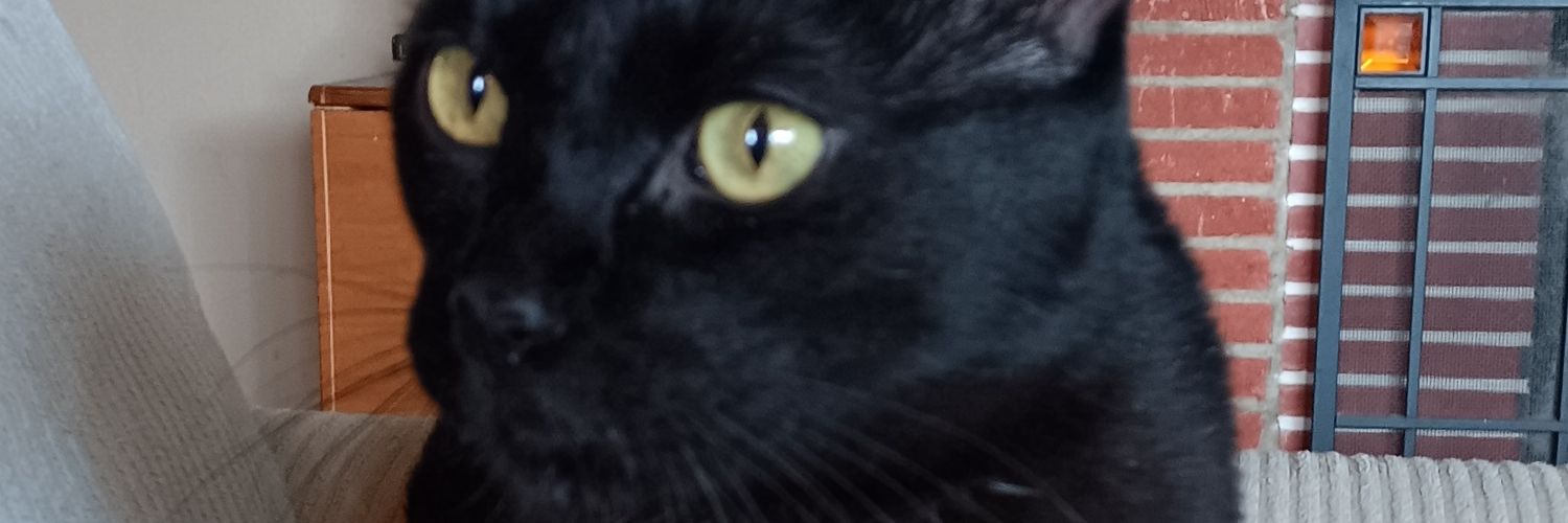trident3's profile banner image