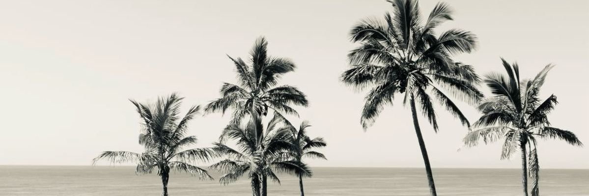 straswia's profile banner image