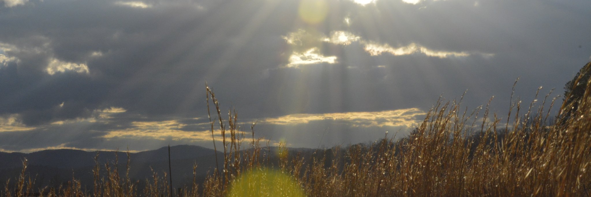 mwe76's profile banner image
