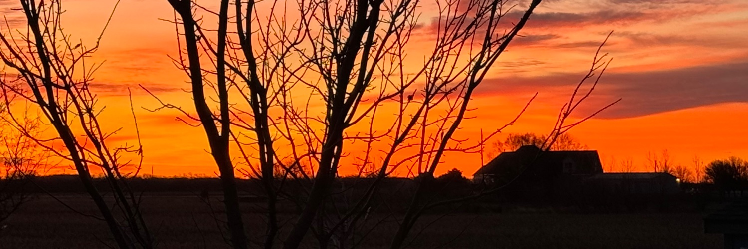 Cheryl Lee banner